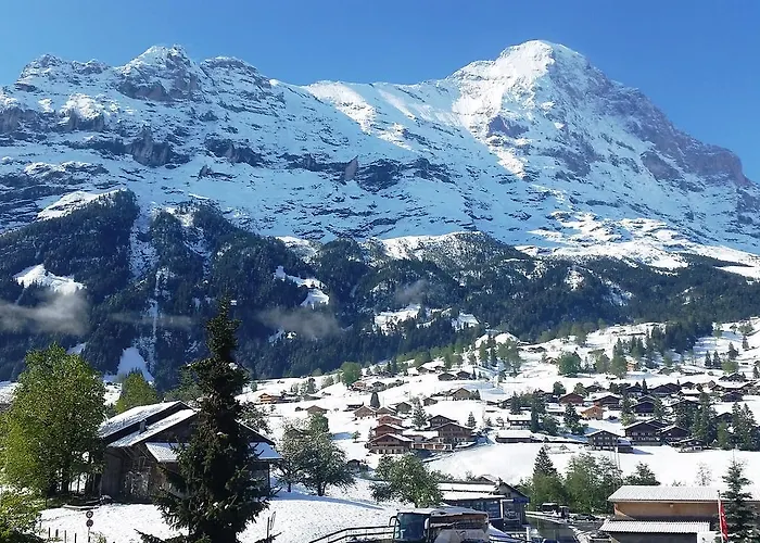 Отель Adele - Griwa Rent Ag *