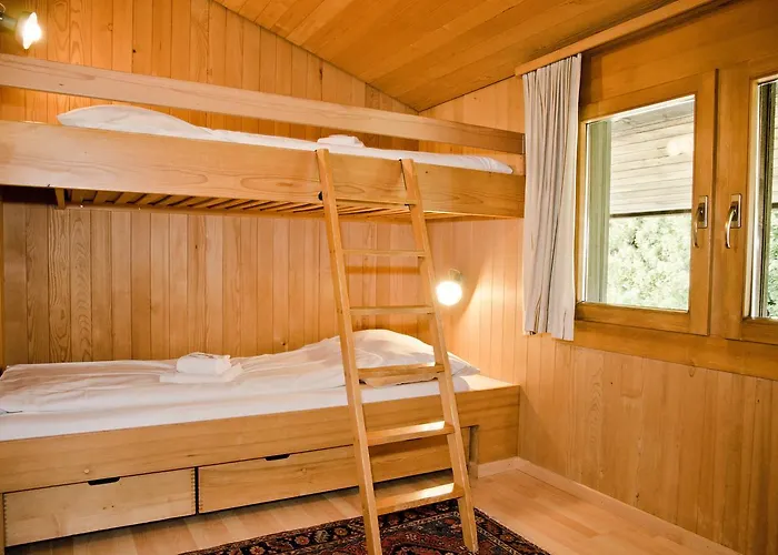 Adele - Griwa Rent Ag